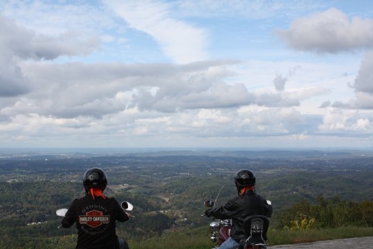 33's Photo