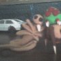 's Photo #5