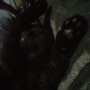 's Photo #5